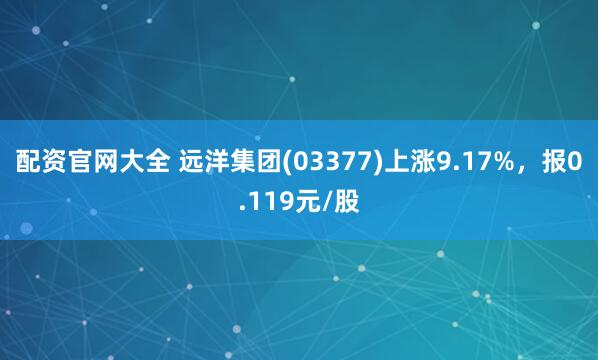 配资官网大全 远洋集团(03377)上涨9.17%，报0.119元/股
